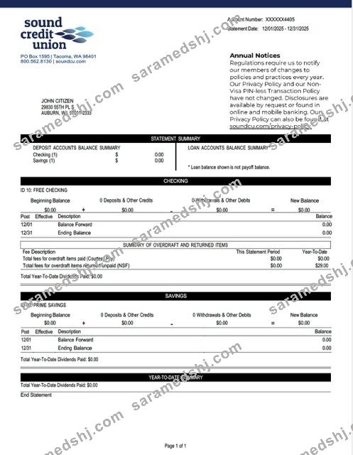 USA Washington Sound Credit Union account statement Word and PDF template